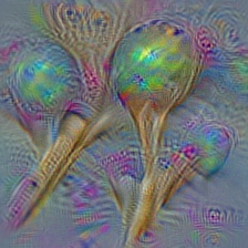 n03720891 maraca